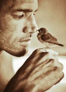 Illustration du Masculin Sacré, symbolisant l’énergie masculine alignée et la guérison des polarités.